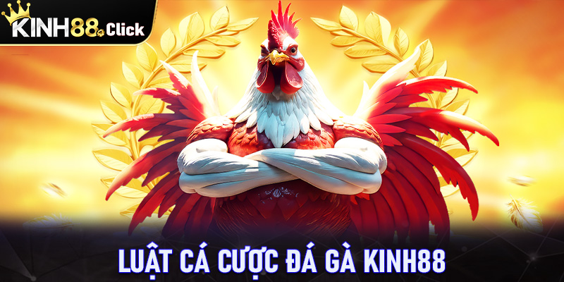 Kinh nghiệm cá cược đá gà kinh88 dành cho bet thủ mới tham gia